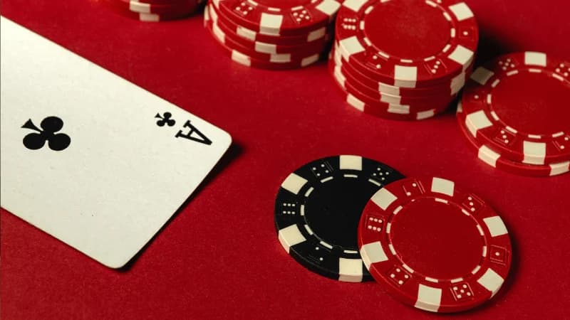 Tight Poker 첫 프리롤, 10월 19일 개최