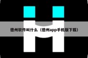 德州软件叫什么（德州app手机版下载）