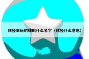 赌怪里玩的牌叫什么名字（赌怪什么意思）