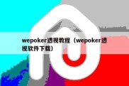 wepoker透视教程（wepoker透视软件下载）