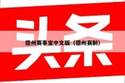 德州赛事宝中文版（德州赛制）