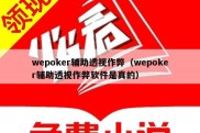 wepoker辅助透视作弊（wepoker辅助透视作弊软件是真的）