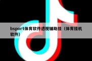 bsport体育软件透视辅助挂（体育挂机软件）