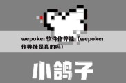 wepoker软件作弊挂（wepoker作弊挂是真的吗）