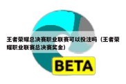 王者荣耀总决赛职业联赛可以投注吗（王者荣耀职业联赛总决赛奖金）