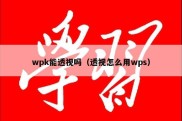 wpk能透视吗（透视怎么用wps）