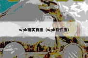 wpk确实有挂（wpk软件挂）