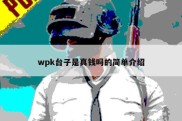 wpk台子是真钱吗的简单介绍