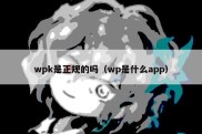 wpk是正规的吗（wp是什么app）