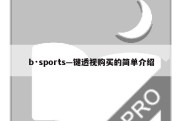 b·sports—键透视购买的简单介绍