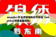 wepoker平台透视辅助软件教程（wepoker透视是骗局吗）