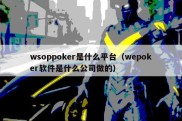 wsoppoker是什么平台（wepoker软件是什么公司做的）