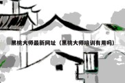 黑桃大师最新网址（黑桃大师培训有用吗）