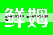 gg扑克软件怎么玩（gg扑克软件怎么玩游戏）