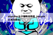 wepoker台子辅助挂教程（wepoker有作弊挂）