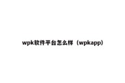 wpk软件平台怎么样（wpkapp）