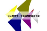 wpk软件牛仔能赢钱吗的简单介绍