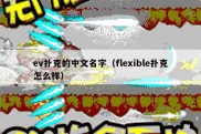 ev扑克的中文名字（flexible扑克怎么样）