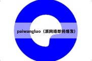 paiwangluo（派网络即将爆发）