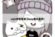 wpk老板是谁（wpp集团董事）