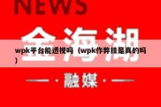 wpk平台能透视吗（wpk作弊挂是真的吗）