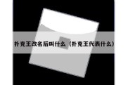 扑克王改名后叫什么（扑克王代表什么）