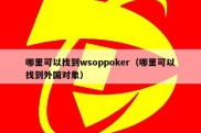 哪里可以找到wsoppoker（哪里可以找到外国对象）